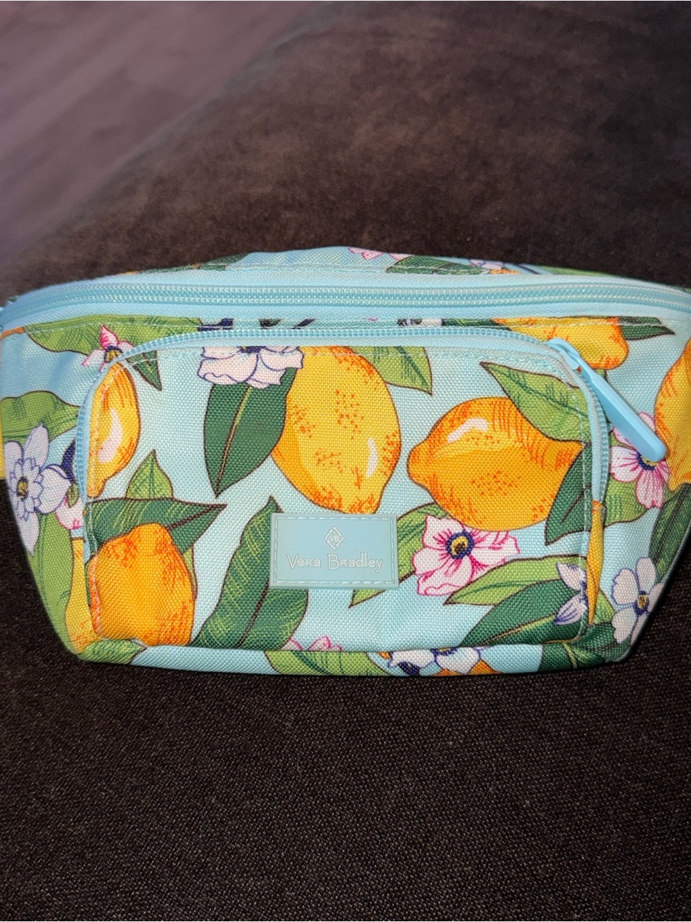 Vera Bradley Lemon Print Cosmetic Bag - Mint